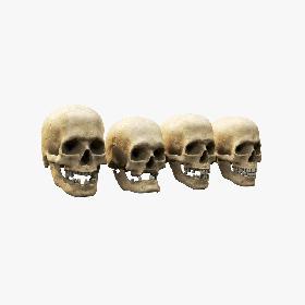 Human Skull Set 3D